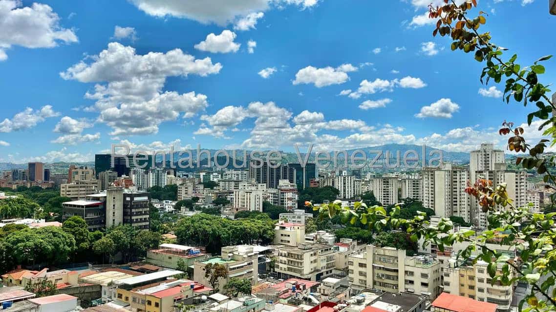 View 15