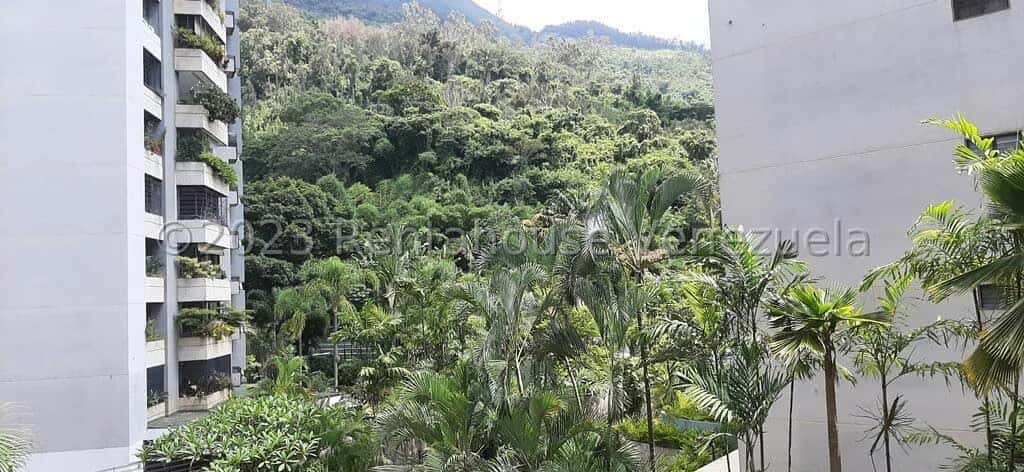 View 28
