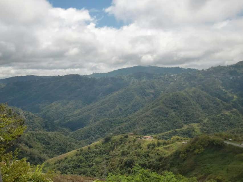 Vista 33