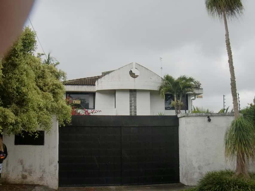 Vista 38
