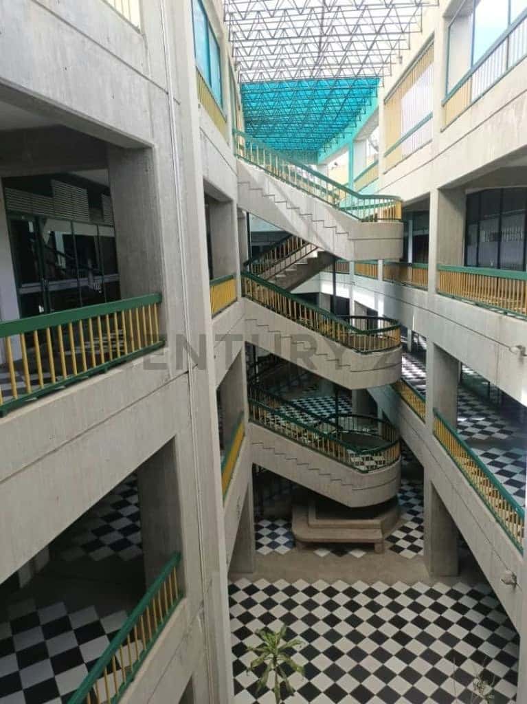 Vista 1