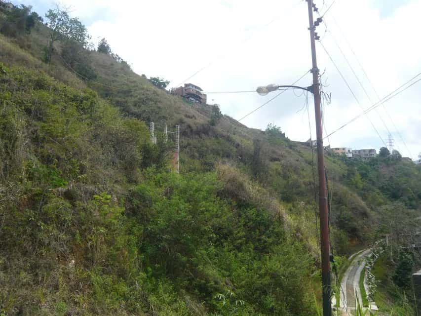 Vista 21