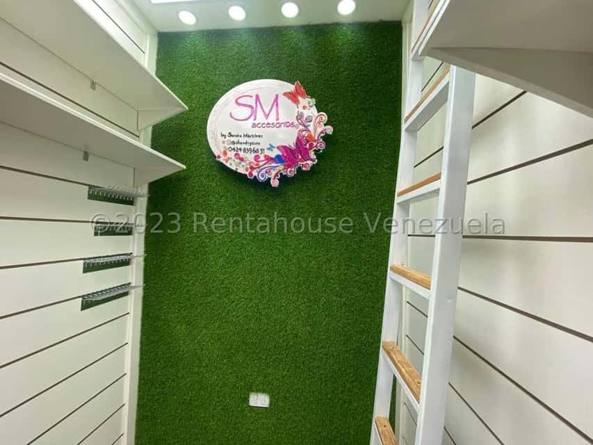 Vista 5