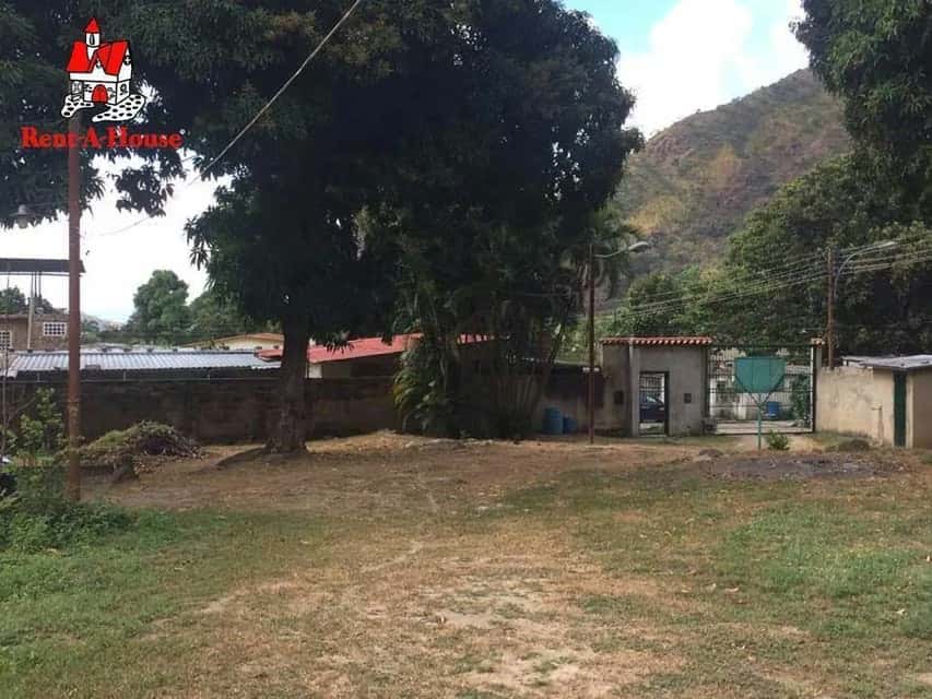 Vista 13