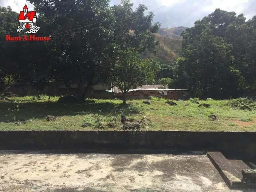 Vista 40