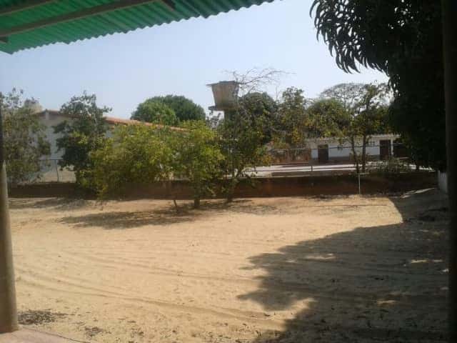 View 15