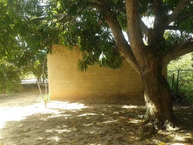View 16