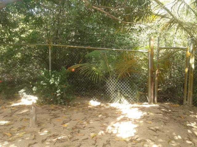 View 17