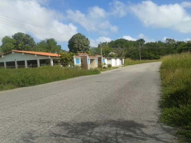 View 18