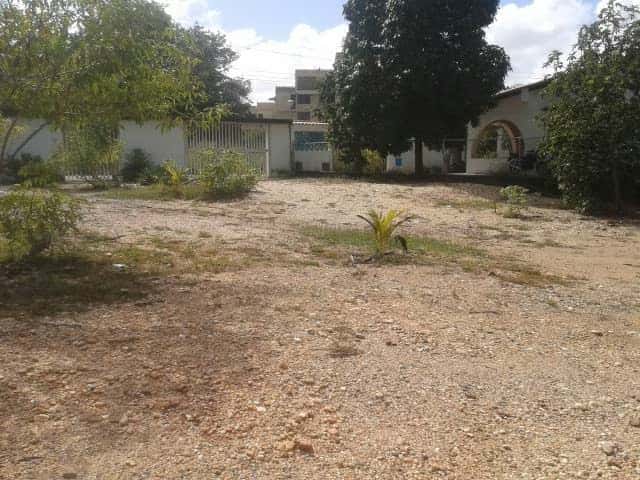 View 4