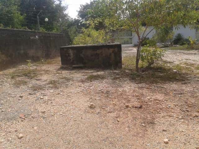 View 5