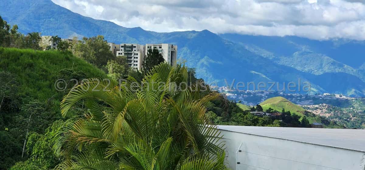 View 82