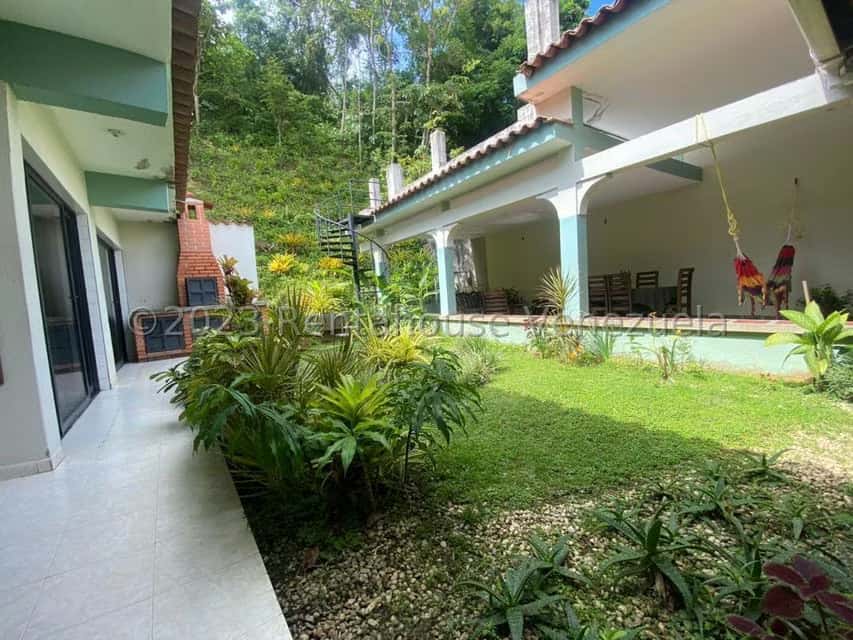 Vista 6