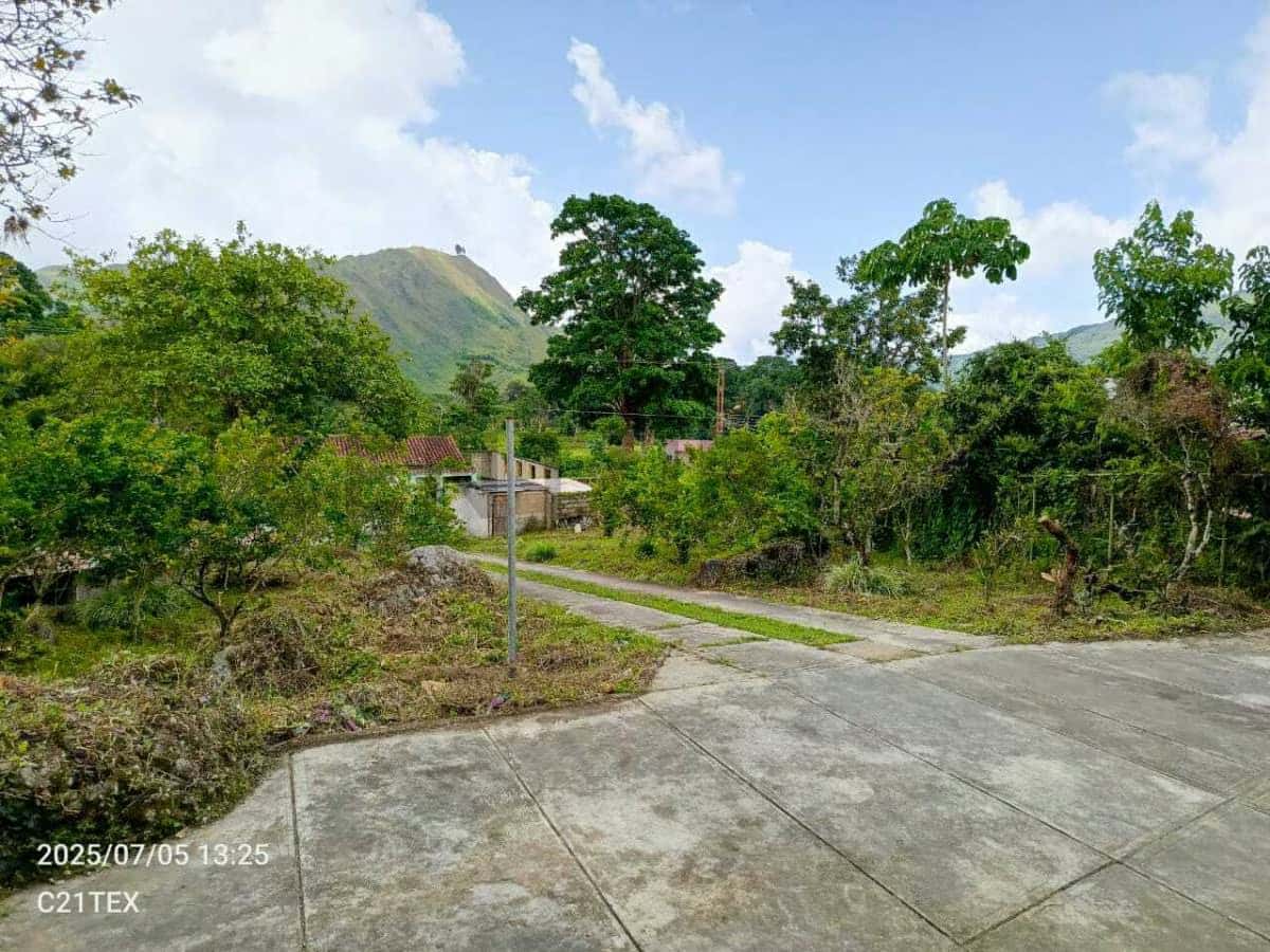 Vista 1