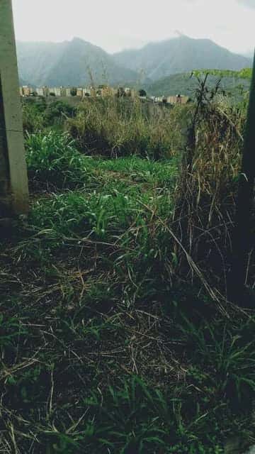 Vista 1