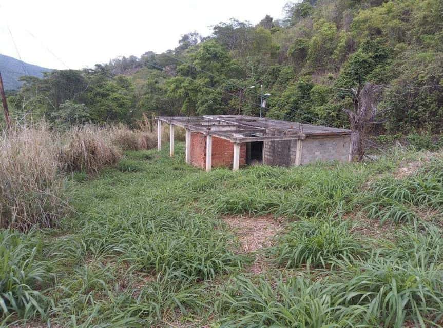 Vista 2