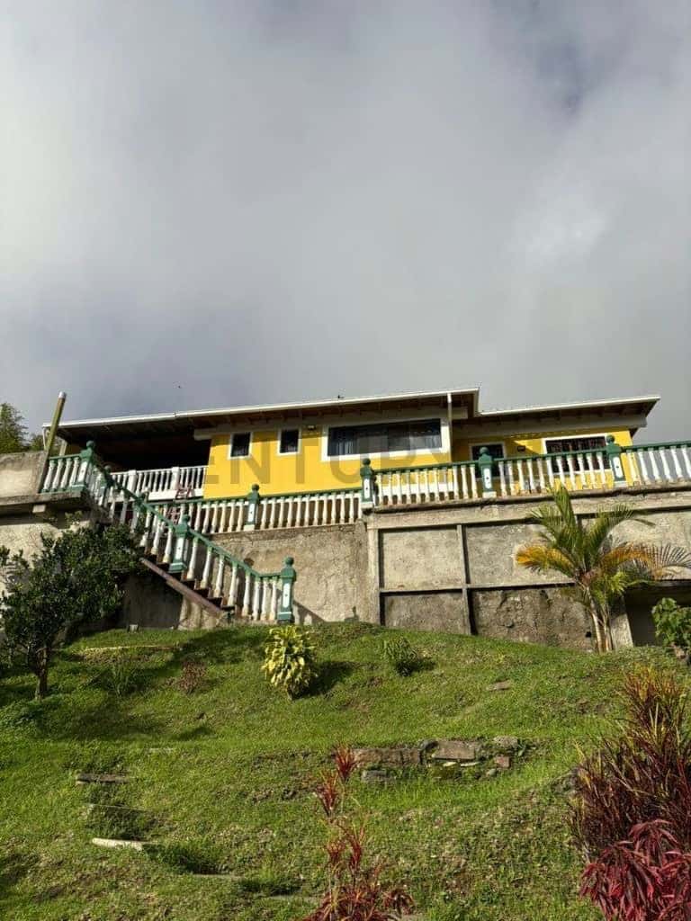 View 14