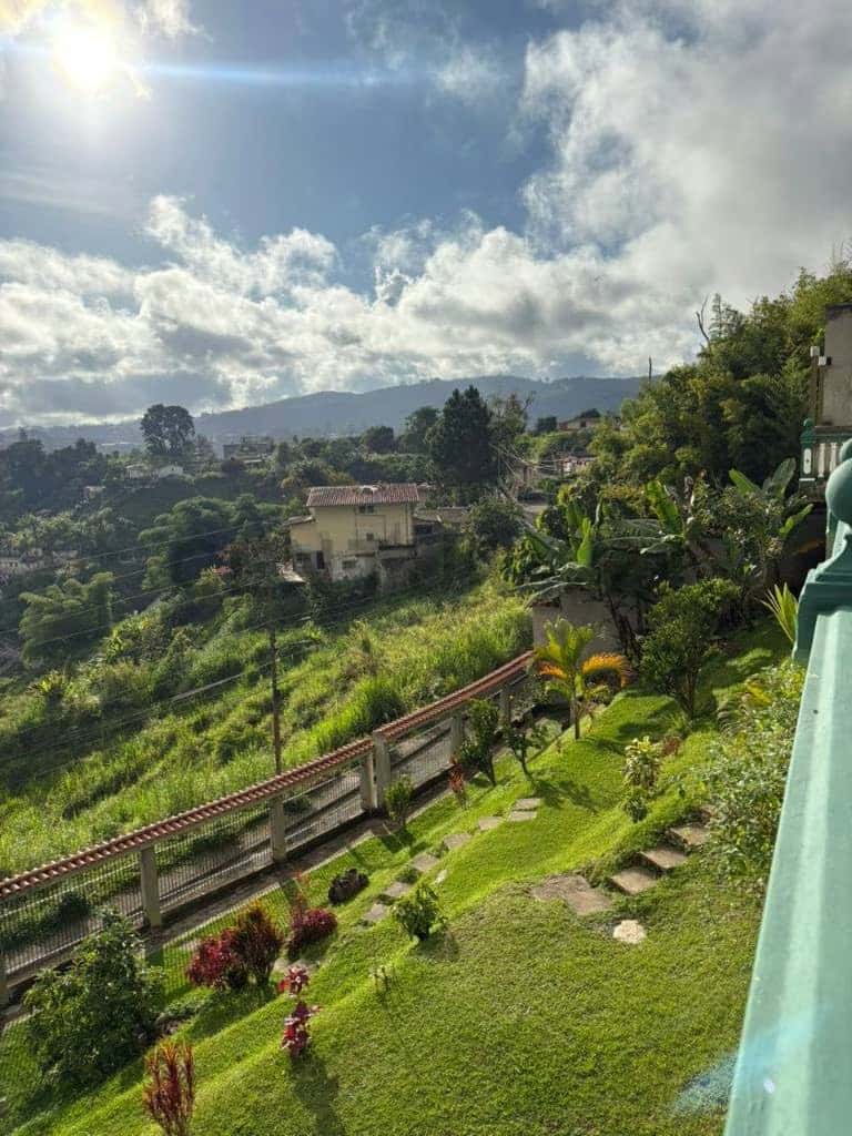 View 15