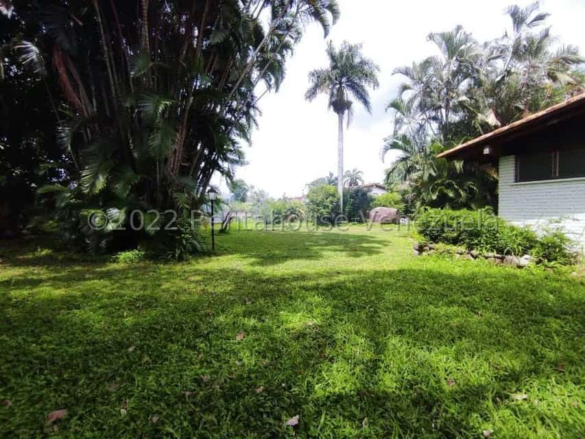 View 27