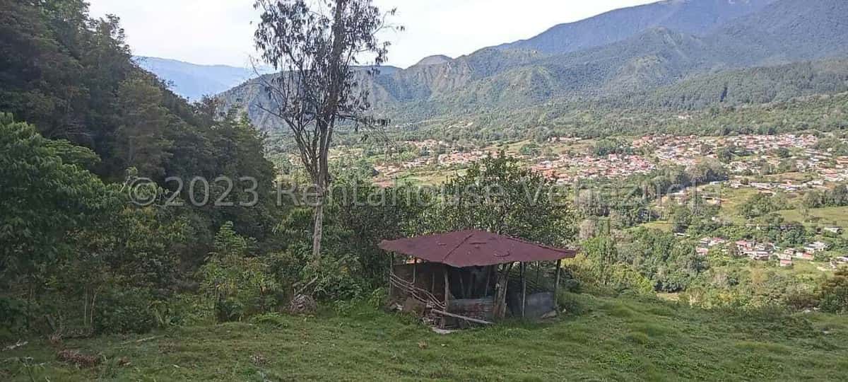 View 12