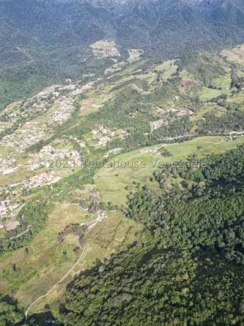 View 19
