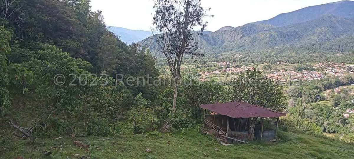 View 22