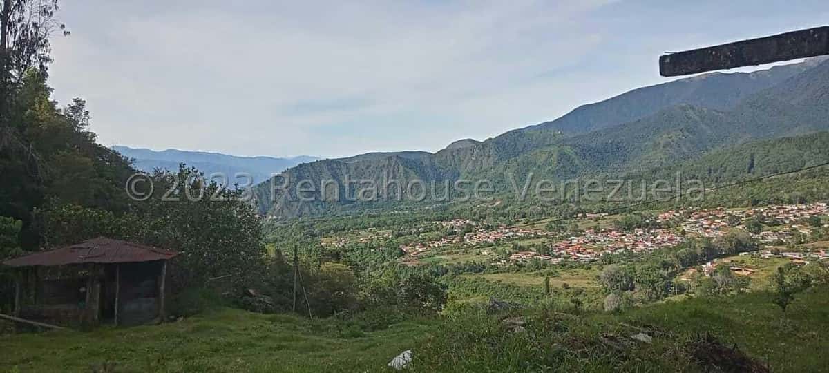 View 28
