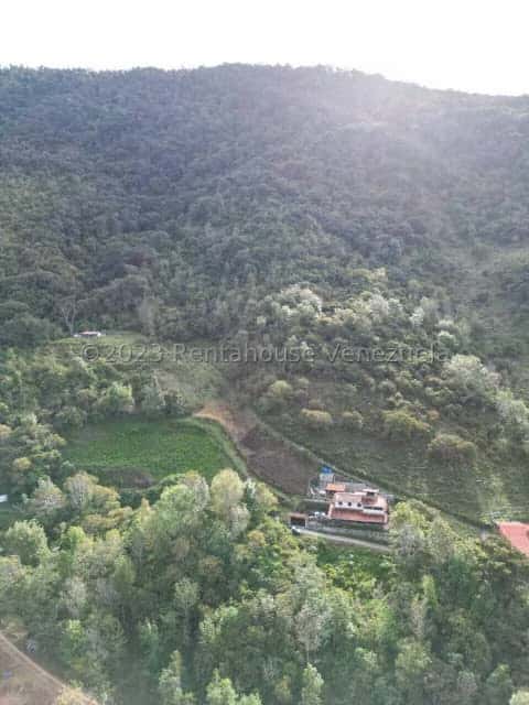 View 6