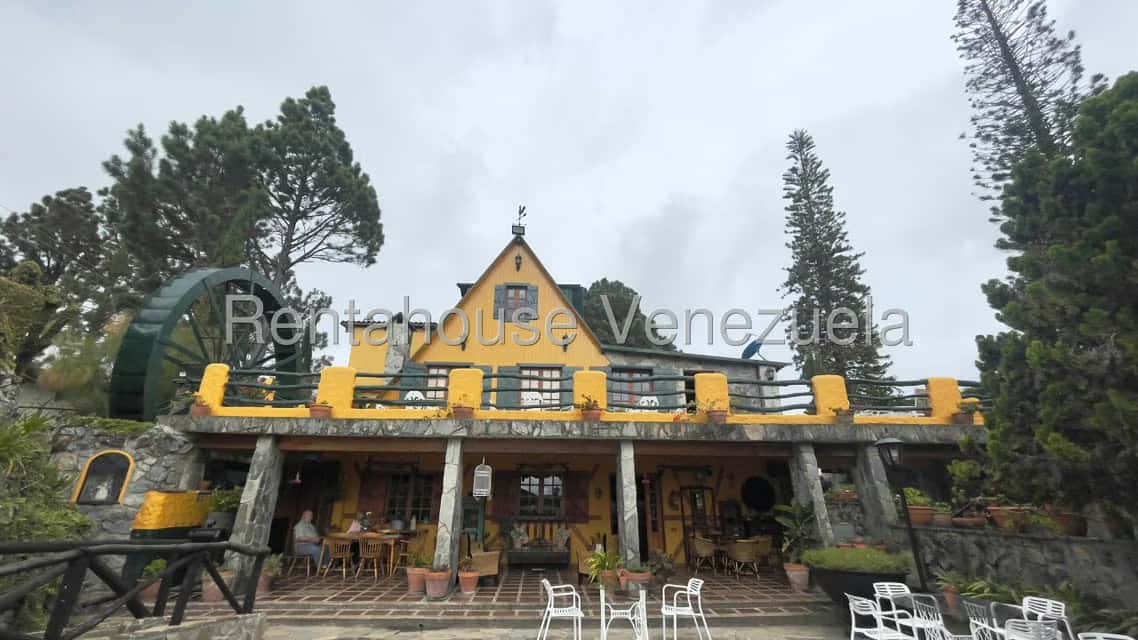 View 22