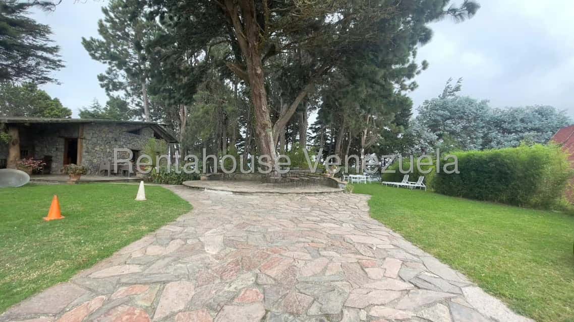 View 28