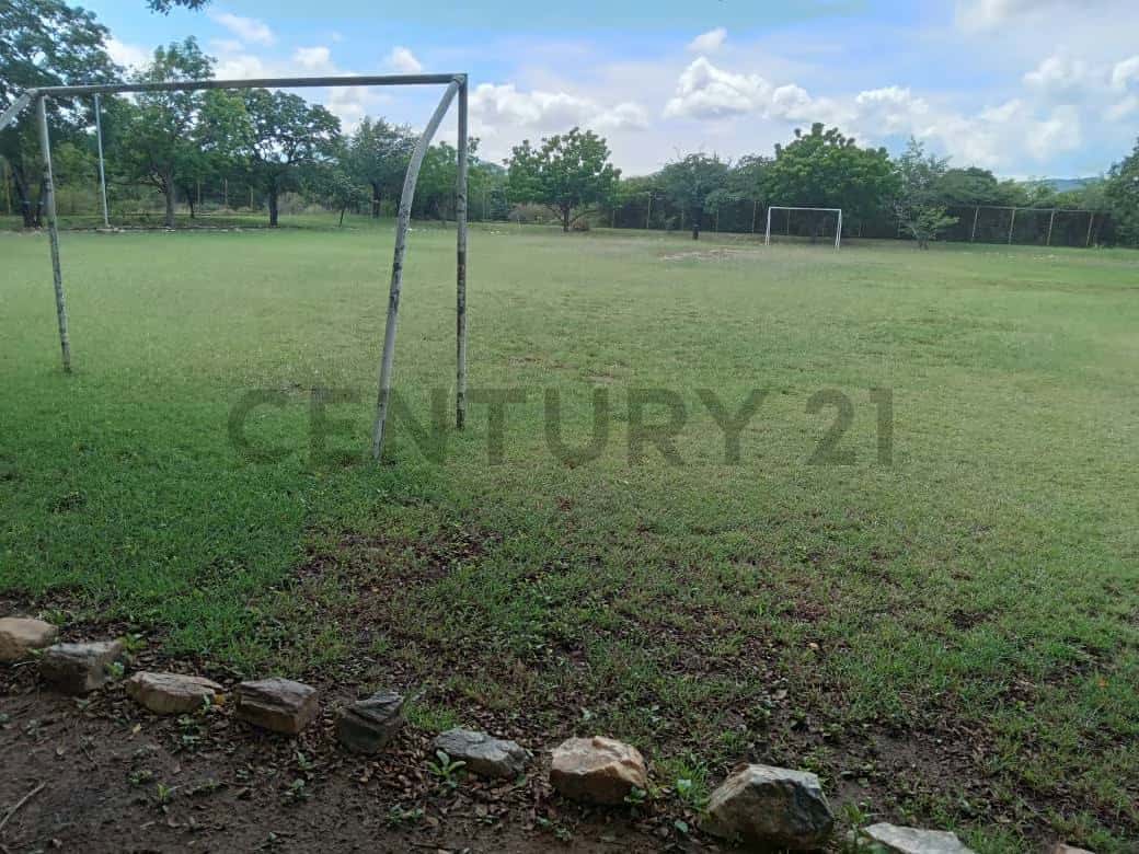 Vista 12
