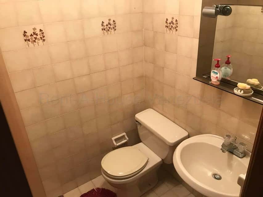 Vista 24