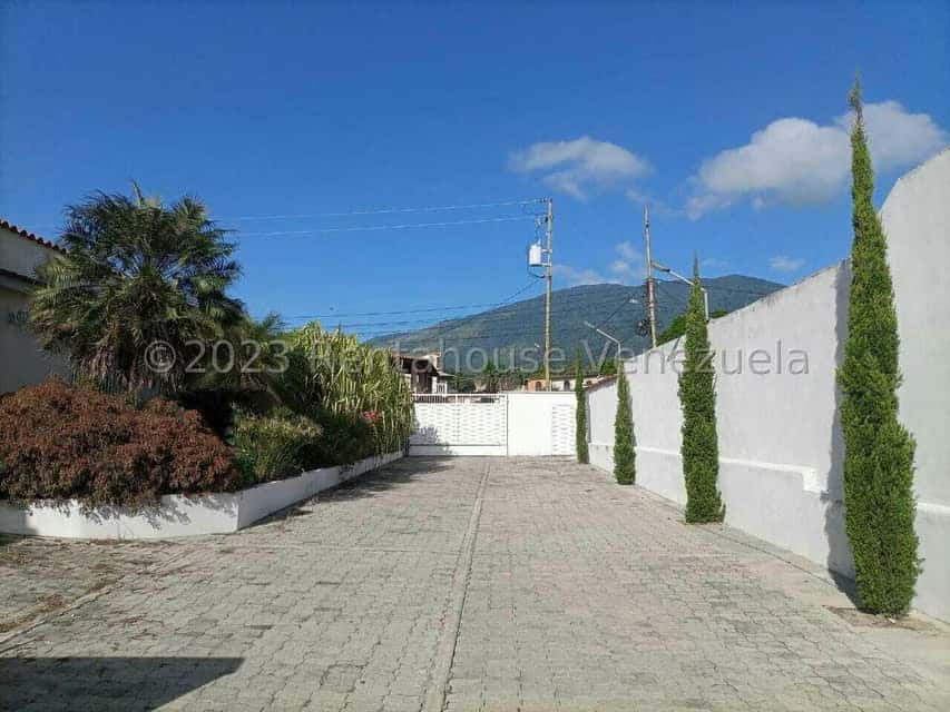Vista 3