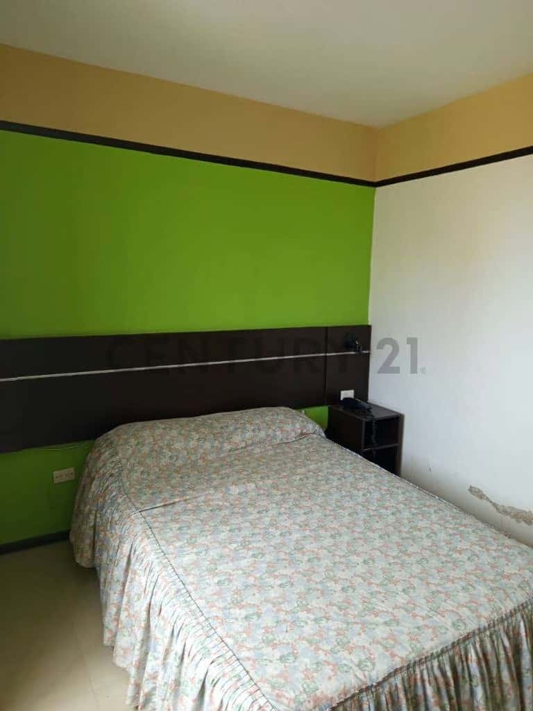 Vista 14