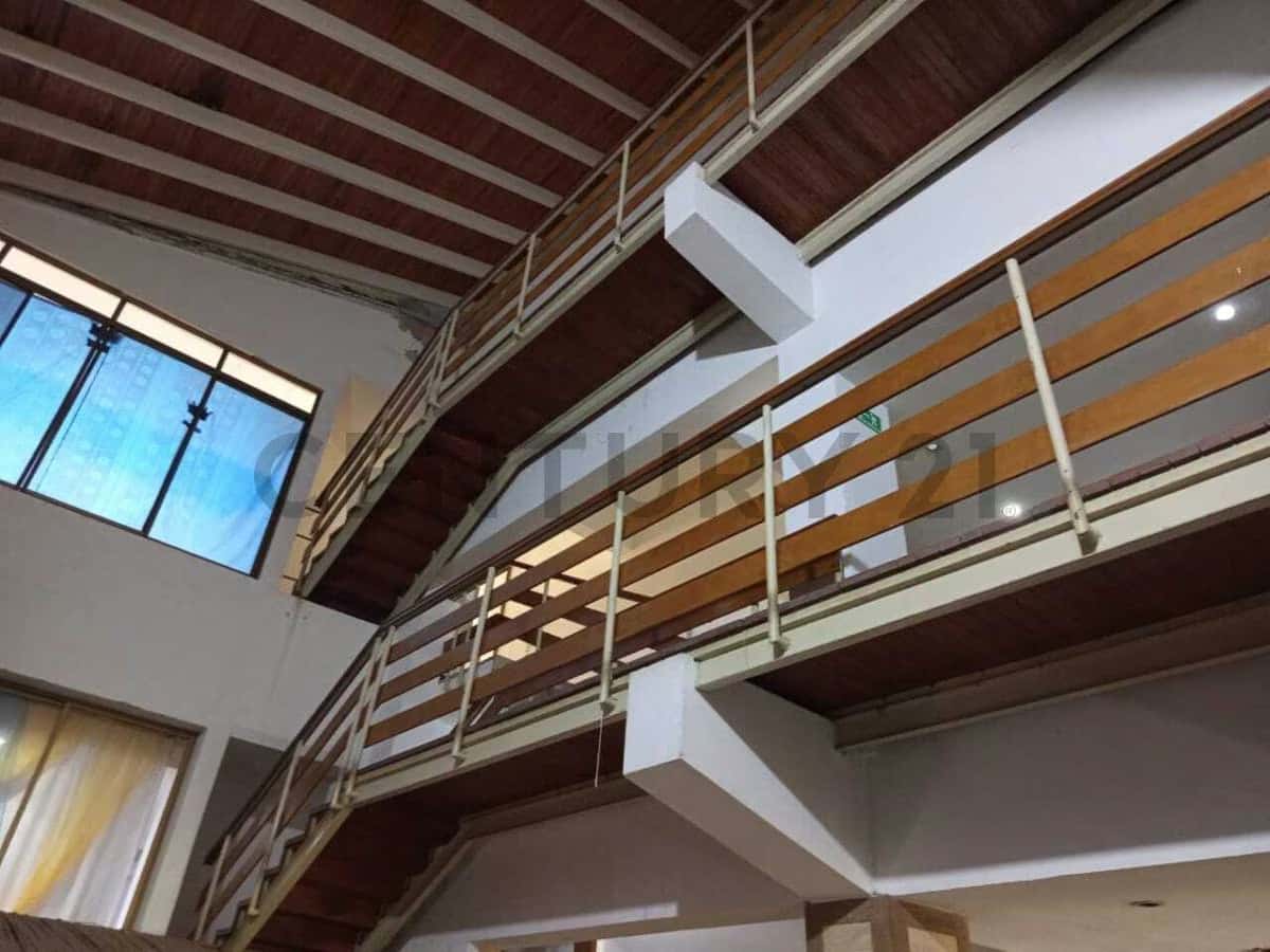 Vista 23