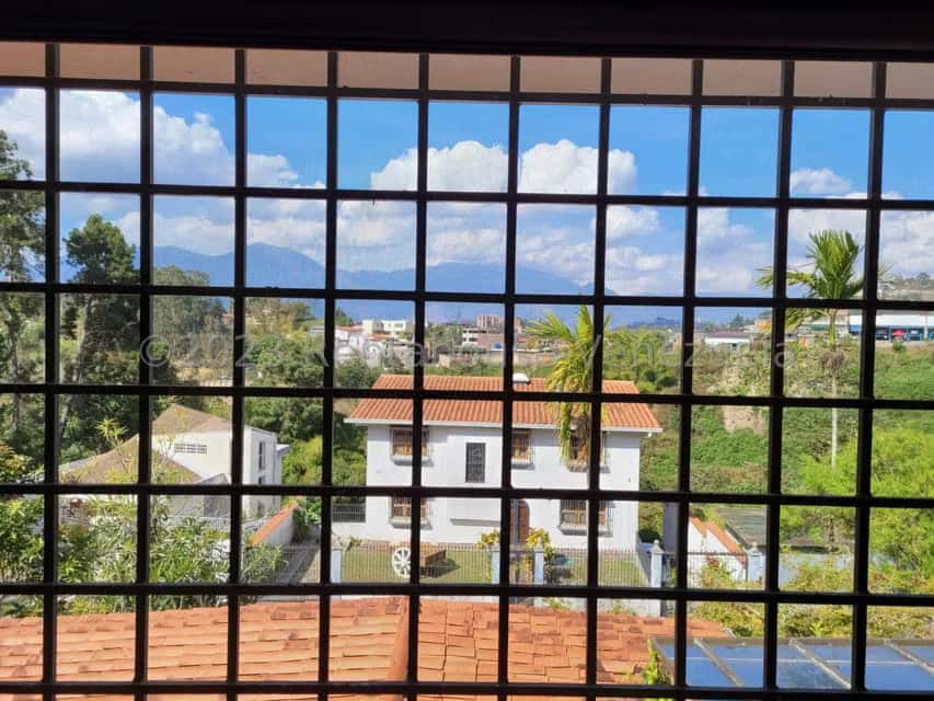 Vista 31