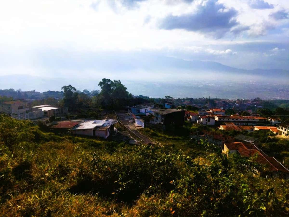 View 1