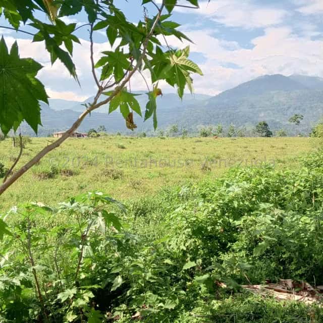 View 1