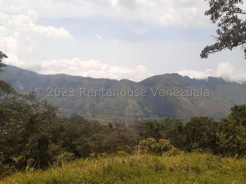 View 11