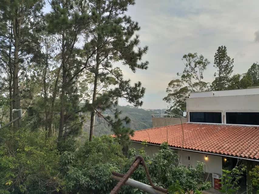 View 49