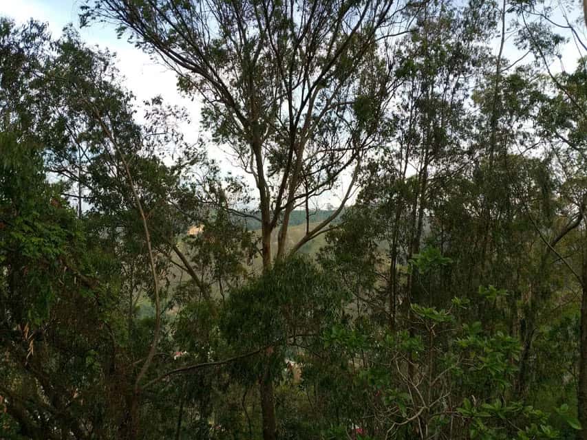 View 50