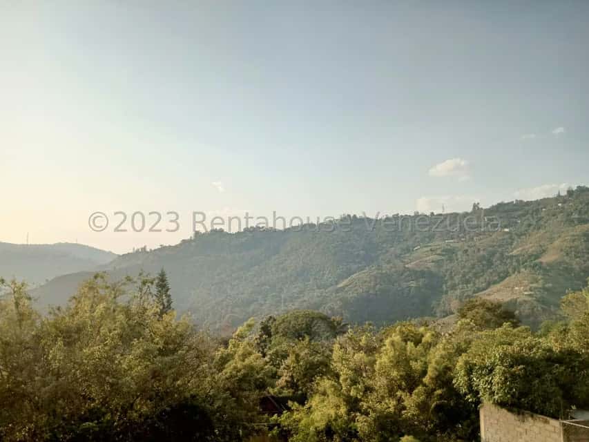 View 7