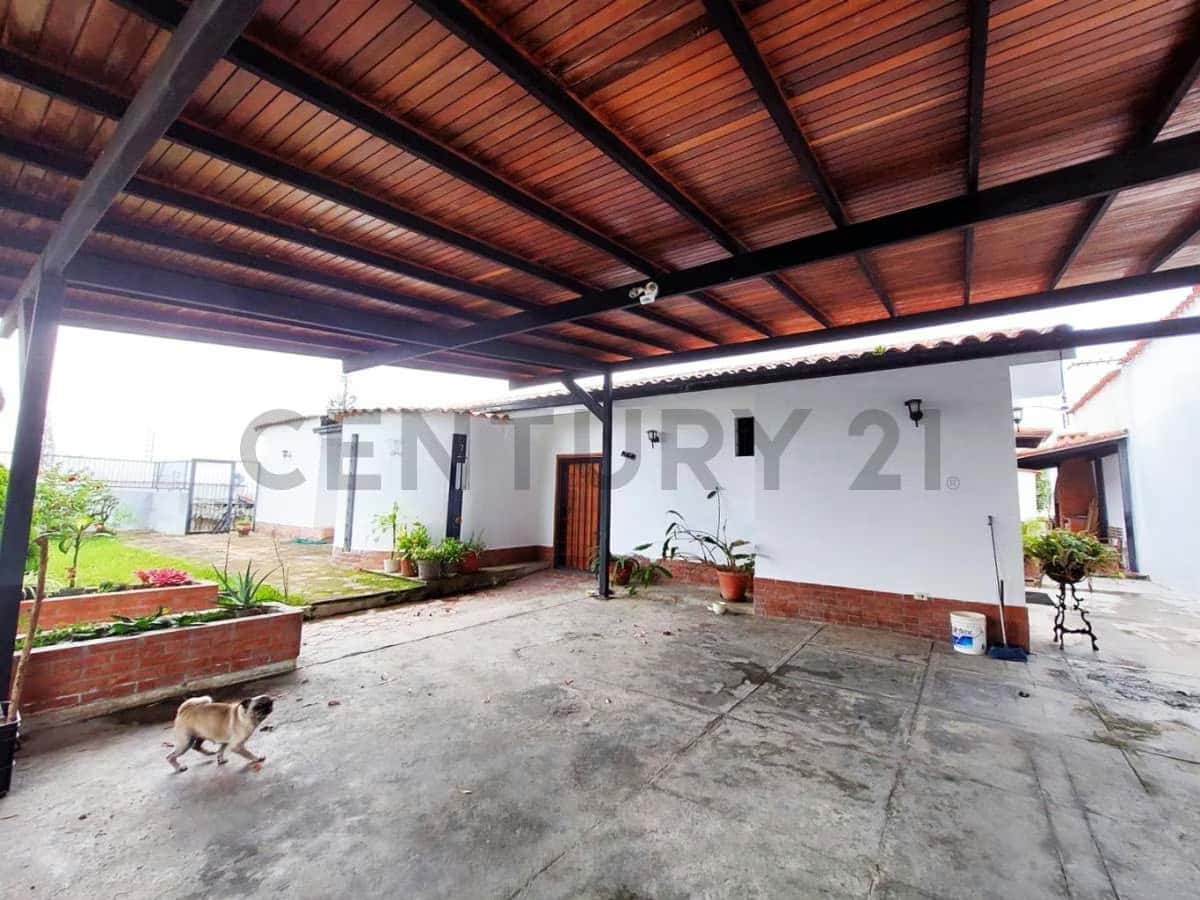 Vista 2