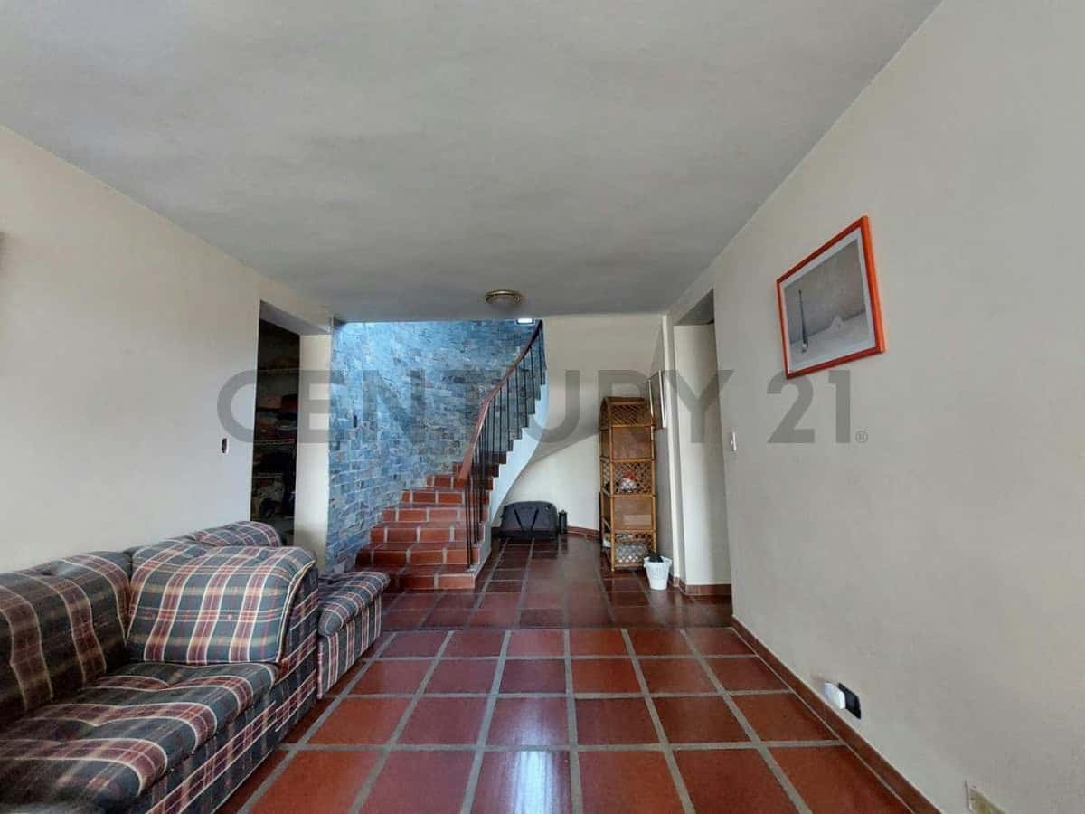 Vista 15