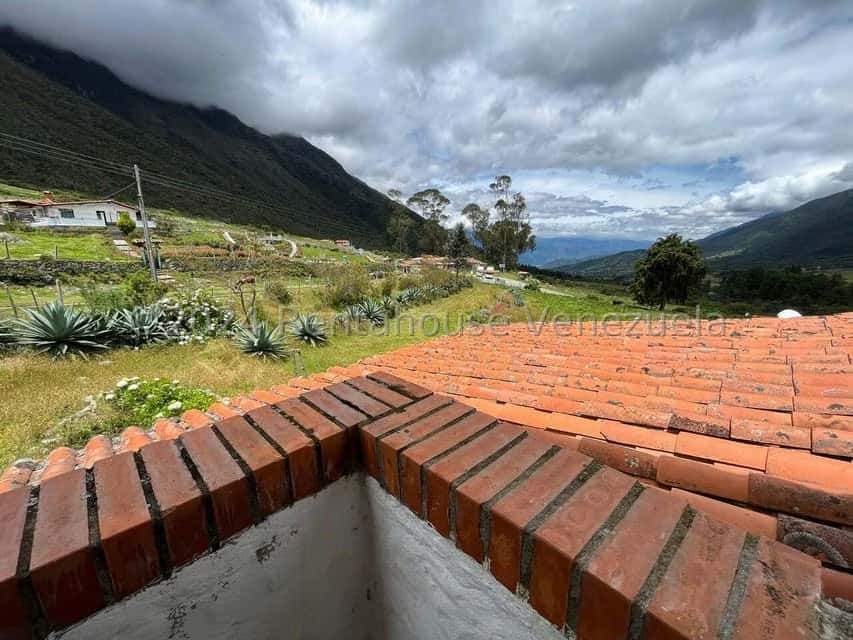 Vista 39