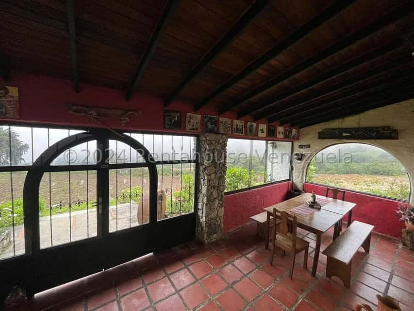 Vista 49