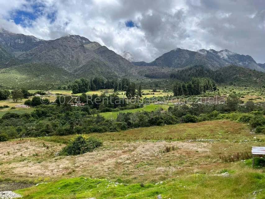 Vista 57