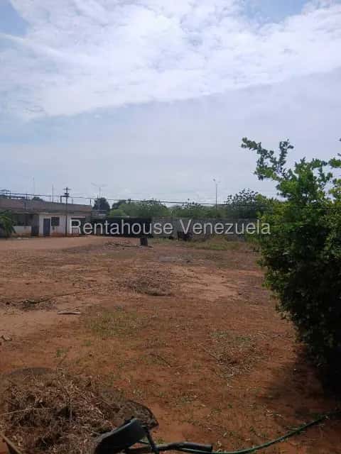 View 15