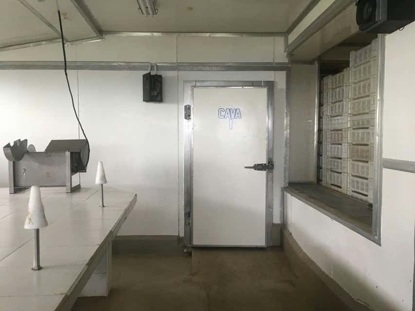 View 17