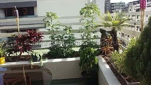 View 66